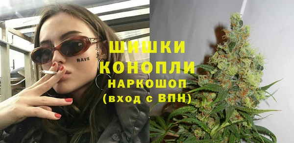 молекула духа Вязьма