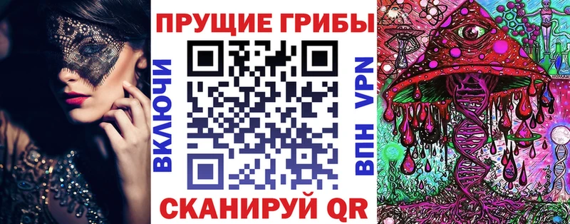 Галлюциногенные грибы Cubensis  Железногорск-Илимский 
